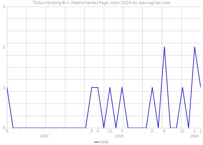Tellus Holding B.V. (Netherlands) Page visits 2024 