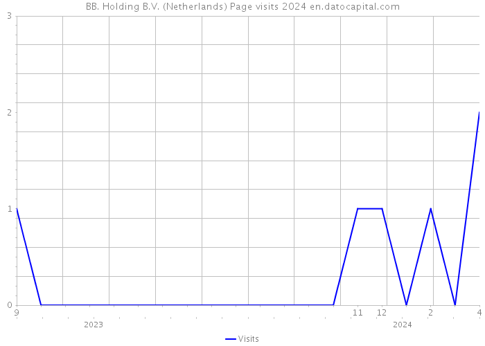 BB. Holding B.V. (Netherlands) Page visits 2024 