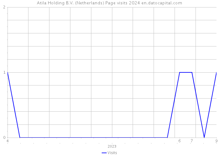 Atila Holding B.V. (Netherlands) Page visits 2024 