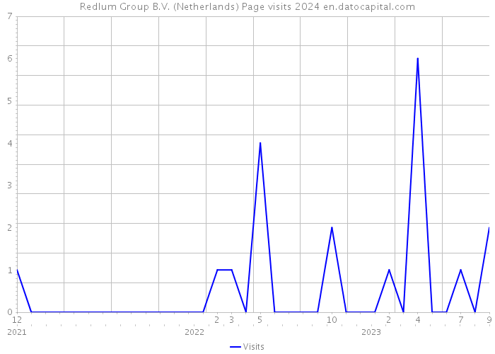 Redlum Group B.V. (Netherlands) Page visits 2024 