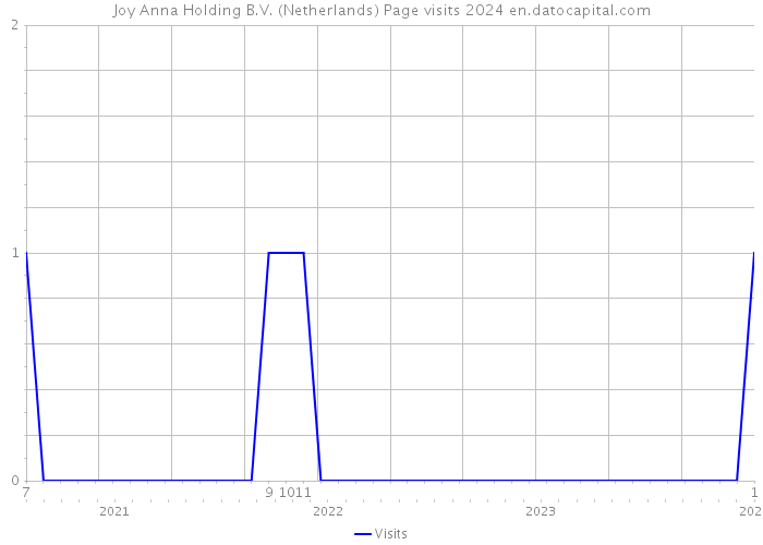Joy Anna Holding B.V. (Netherlands) Page visits 2024 