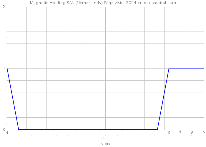 Magnolia Holding B.V. (Netherlands) Page visits 2024 
