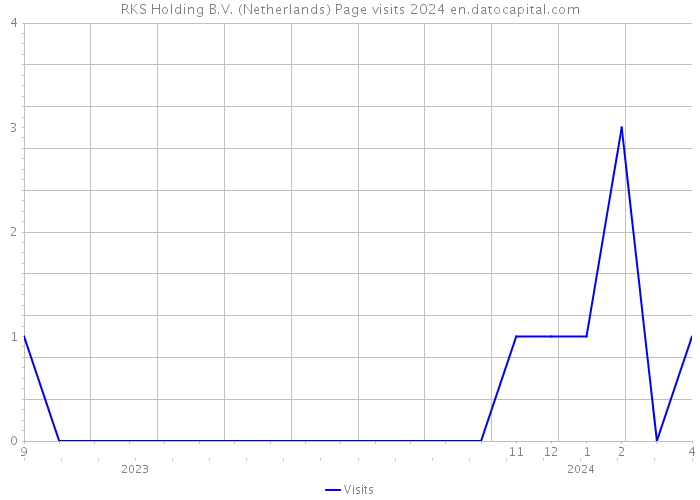 RKS Holding B.V. (Netherlands) Page visits 2024 