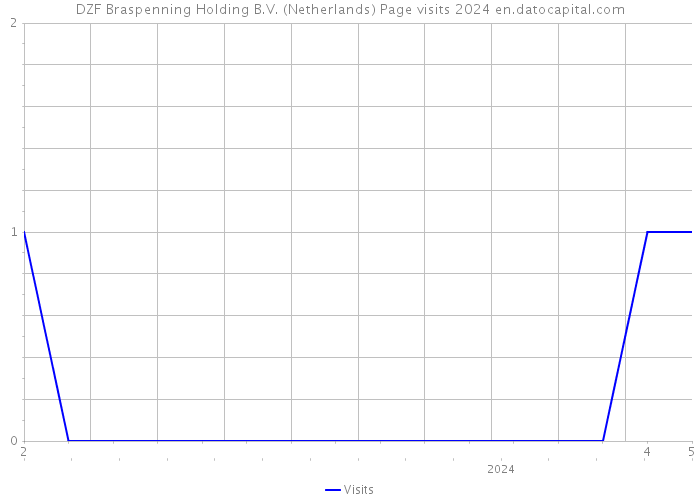 DZF Braspenning Holding B.V. (Netherlands) Page visits 2024 