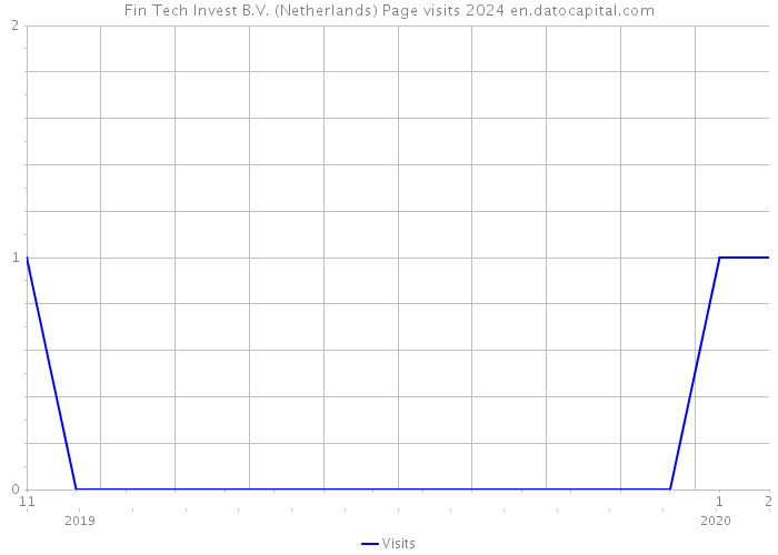 Fin Tech Invest B.V. (Netherlands) Page visits 2024 