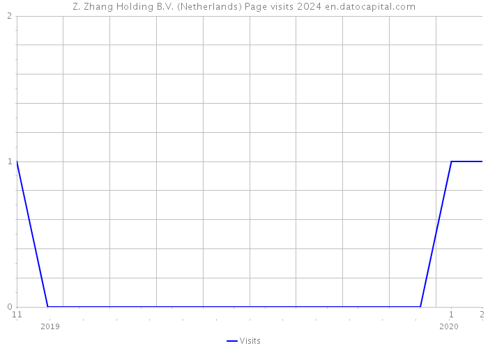 Z. Zhang Holding B.V. (Netherlands) Page visits 2024 