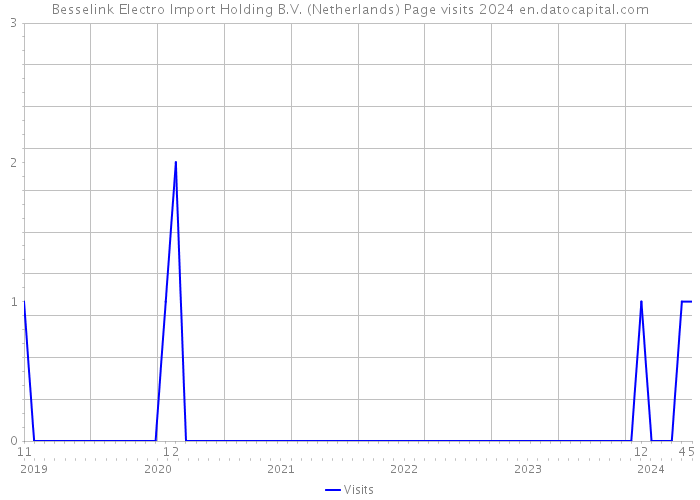 Besselink Electro Import Holding B.V. (Netherlands) Page visits 2024 