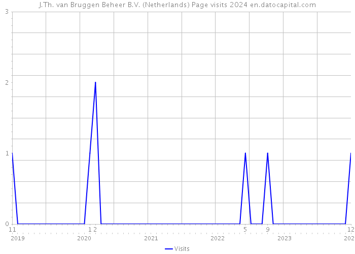 J.Th. van Bruggen Beheer B.V. (Netherlands) Page visits 2024 
