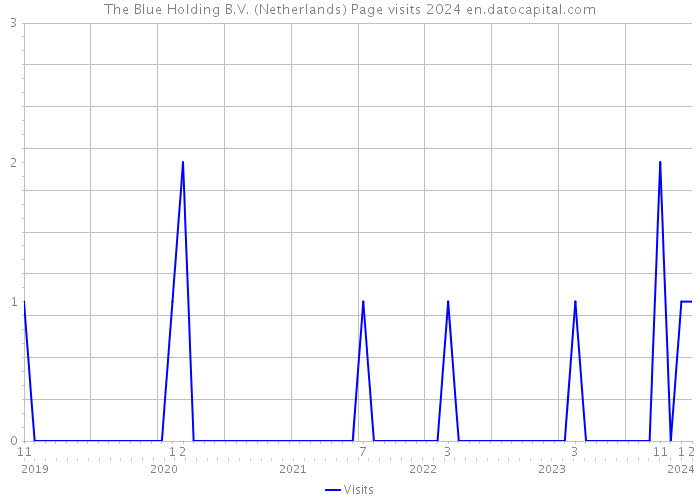 The Blue Holding B.V. (Netherlands) Page visits 2024 