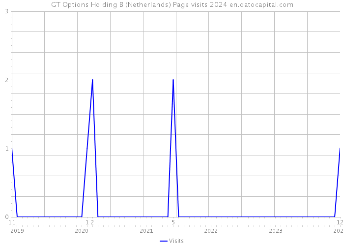 GT Options Holding B (Netherlands) Page visits 2024 