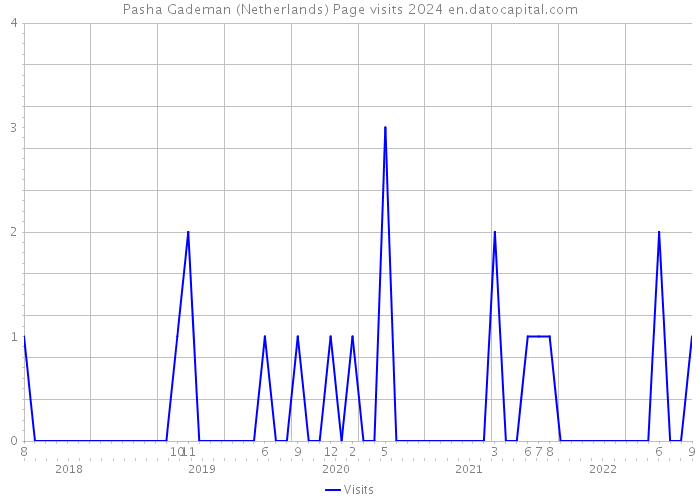 Pasha Gademan (Netherlands) Page visits 2024 