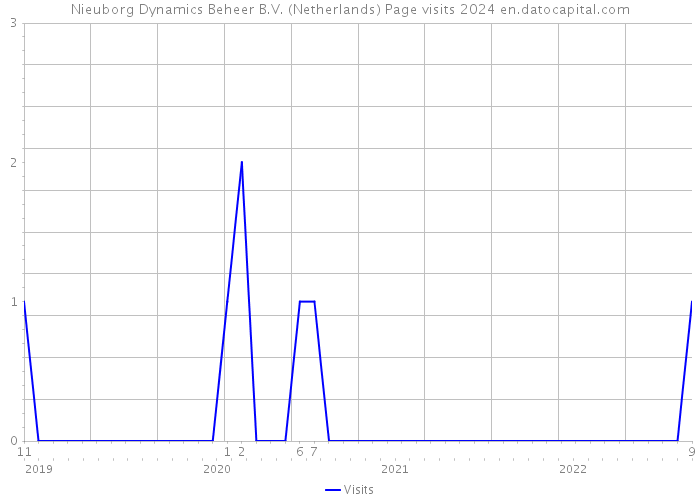 Nieuborg Dynamics Beheer B.V. (Netherlands) Page visits 2024 