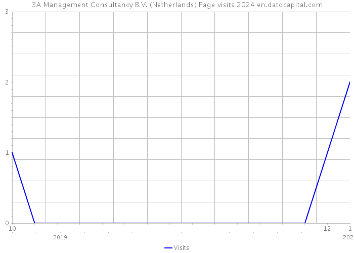 3A Management Consultancy B.V. (Netherlands) Page visits 2024 