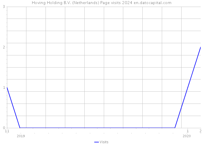 Hoving Holding B.V. (Netherlands) Page visits 2024 