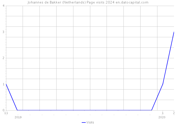 Johannes de Bakker (Netherlands) Page visits 2024 