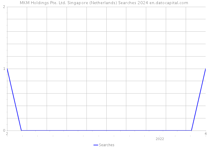 MKM Holdings Pte. Ltd. Singapore (Netherlands) Searches 2024 