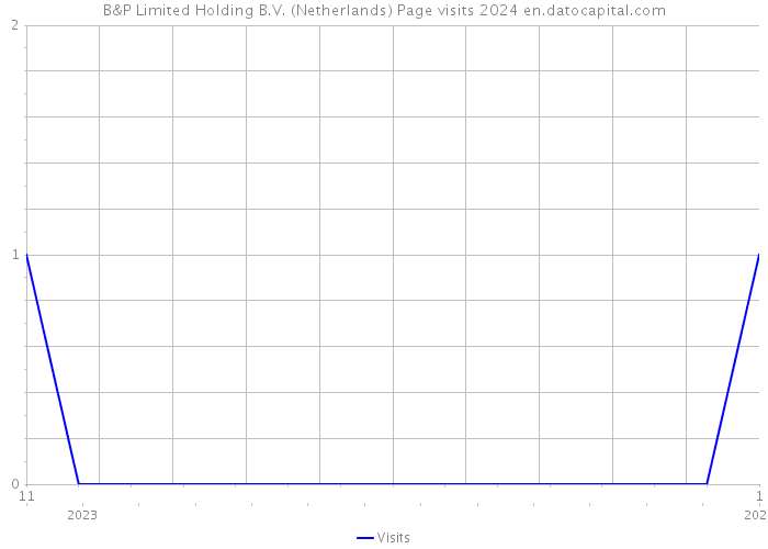 B&P Limited Holding B.V. (Netherlands) Page visits 2024 