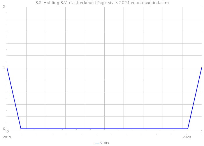 B.S. Holding B.V. (Netherlands) Page visits 2024 