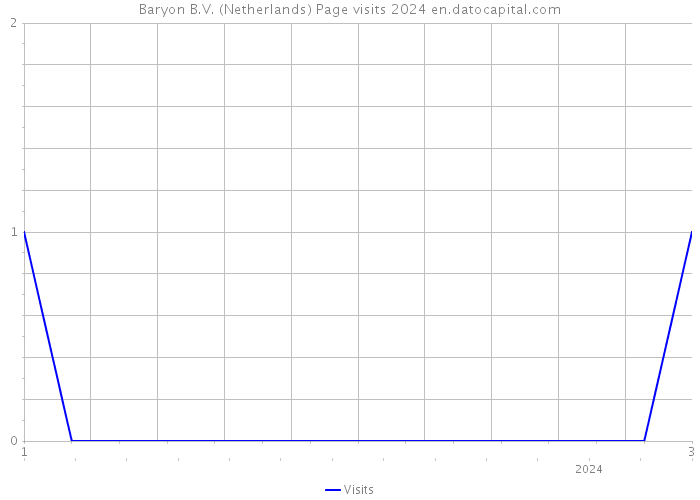 Baryon B.V. (Netherlands) Page visits 2024 