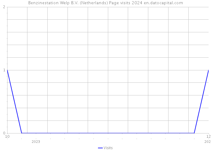 Benzinestation Welp B.V. (Netherlands) Page visits 2024 