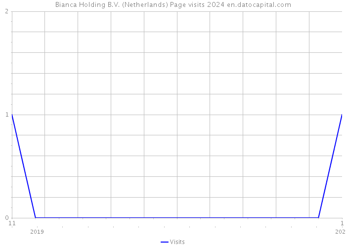 Bianca Holding B.V. (Netherlands) Page visits 2024 