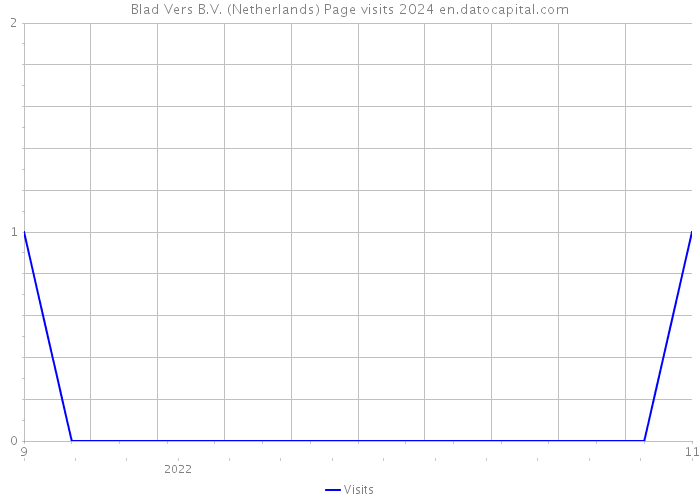 Blad Vers B.V. (Netherlands) Page visits 2024 