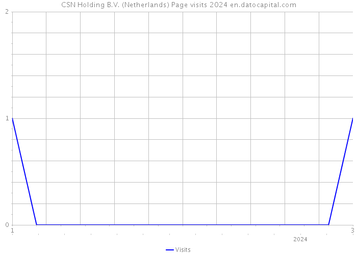 CSN Holding B.V. (Netherlands) Page visits 2024 