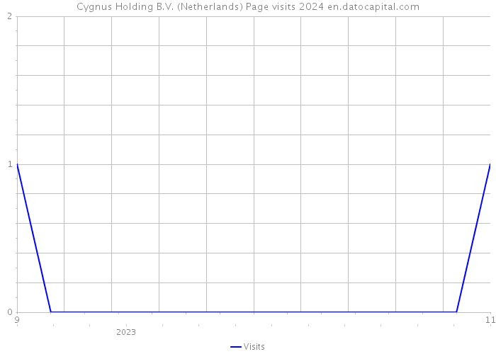 Cygnus Holding B.V. (Netherlands) Page visits 2024 