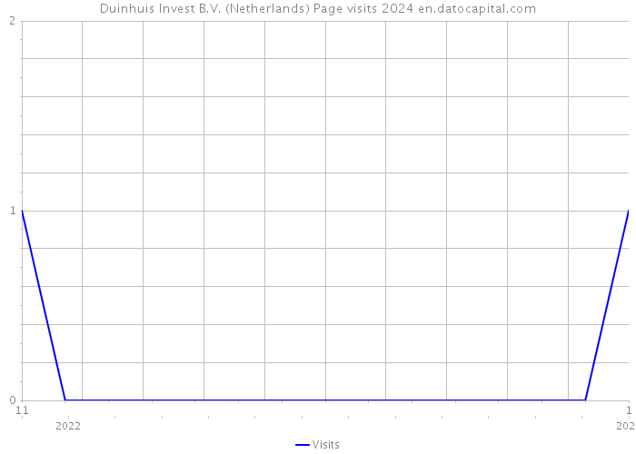 Duinhuis Invest B.V. (Netherlands) Page visits 2024 