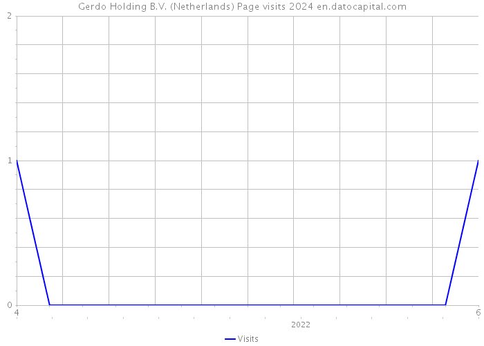 Gerdo Holding B.V. (Netherlands) Page visits 2024 