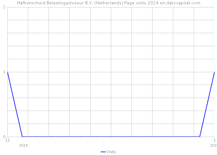 Hafkenscheid Belastingadviseur B.V. (Netherlands) Page visits 2024 