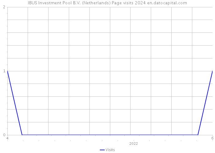 IBUS Investment Pool B.V. (Netherlands) Page visits 2024 