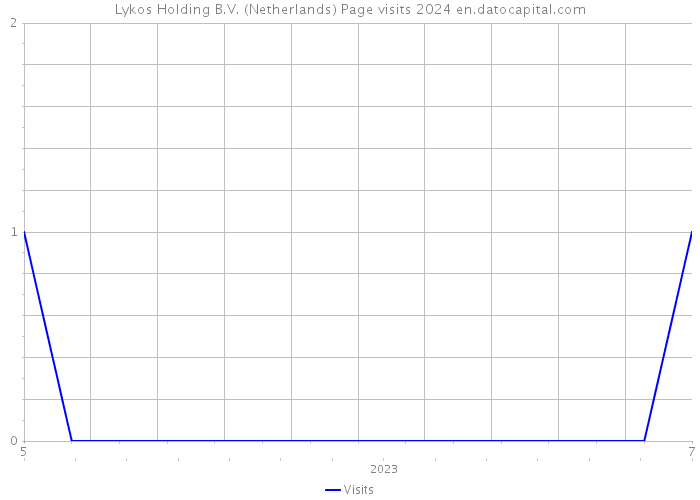 Lykos Holding B.V. (Netherlands) Page visits 2024 