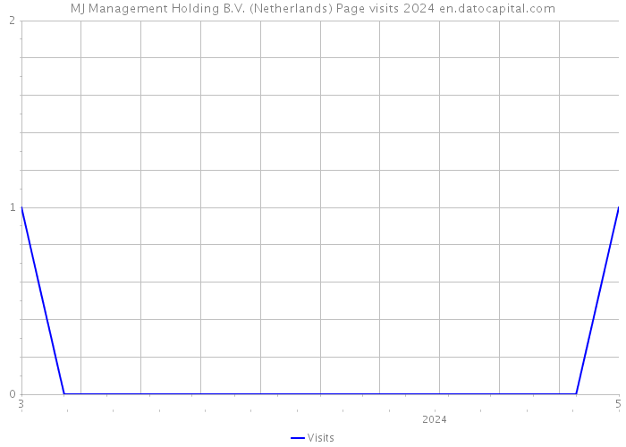 MJ Management Holding B.V. (Netherlands) Page visits 2024 