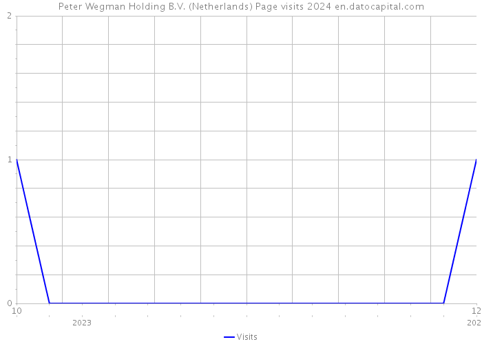 Peter Wegman Holding B.V. (Netherlands) Page visits 2024 