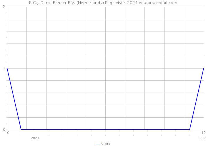 R.C.J. Dams Beheer B.V. (Netherlands) Page visits 2024 