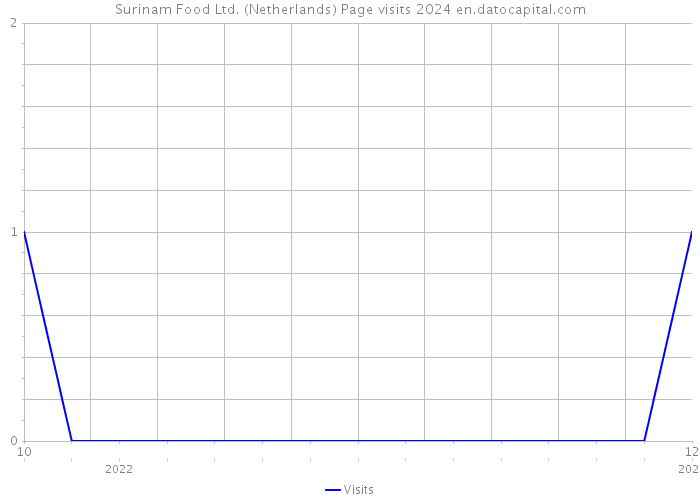 Surinam Food Ltd. (Netherlands) Page visits 2024 