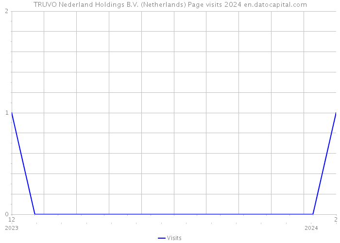 TRUVO Nederland Holdings B.V. (Netherlands) Page visits 2024 