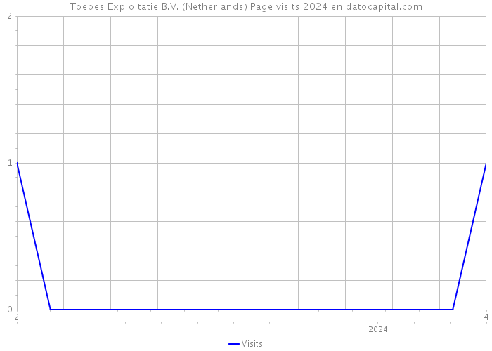 Toebes Exploitatie B.V. (Netherlands) Page visits 2024 