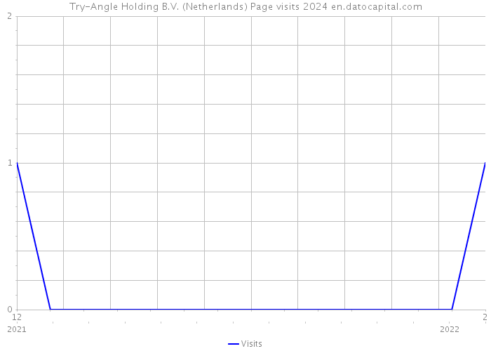 Try-Angle Holding B.V. (Netherlands) Page visits 2024 