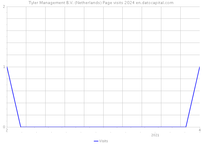 Tyler Management B.V. (Netherlands) Page visits 2024 