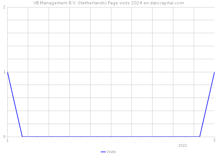 VB Management B.V. (Netherlands) Page visits 2024 