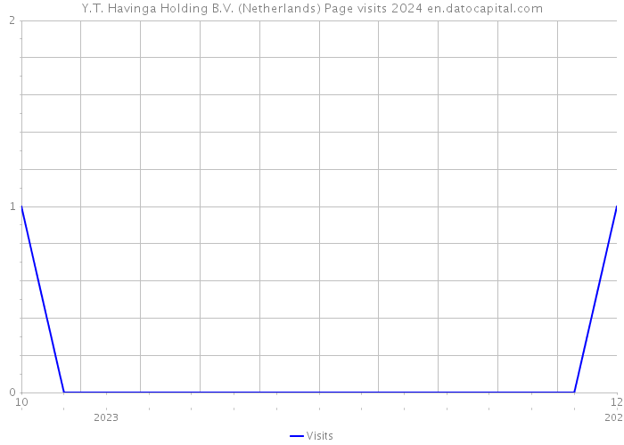 Y.T. Havinga Holding B.V. (Netherlands) Page visits 2024 