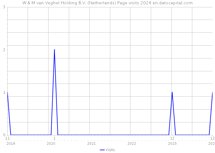 W & M van Veghel Holding B.V. (Netherlands) Page visits 2024 