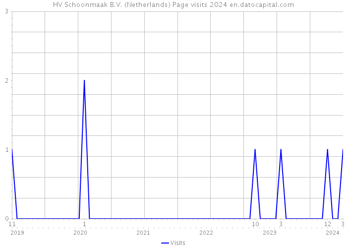 HV Schoonmaak B.V. (Netherlands) Page visits 2024 