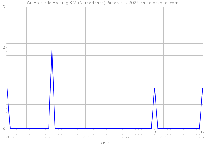 Wil Hofstede Holding B.V. (Netherlands) Page visits 2024 