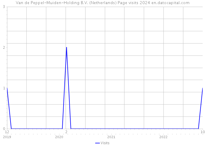 Van de Peppel-Muiden-Holding B.V. (Netherlands) Page visits 2024 