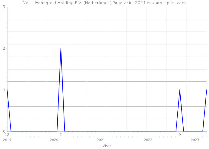 Voss-Hanegraaf Holding B.V. (Netherlands) Page visits 2024 