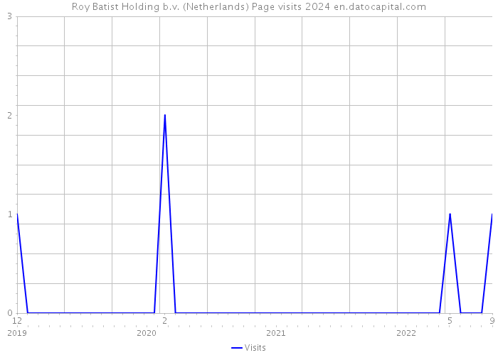 Roy Batist Holding b.v. (Netherlands) Page visits 2024 