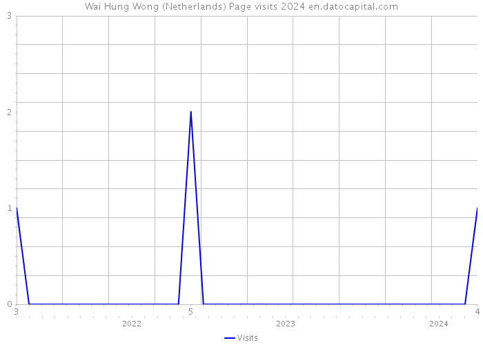 Wai Hung Wong (Netherlands) Page visits 2024 